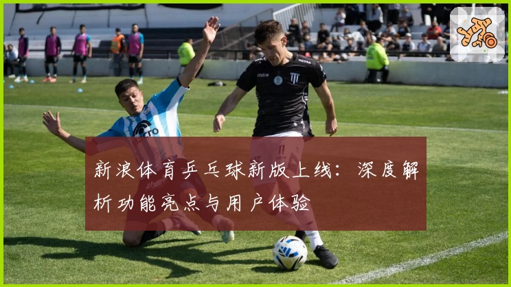 新浪体育乒乓球新版上线：深度解析功能亮点与用户体验