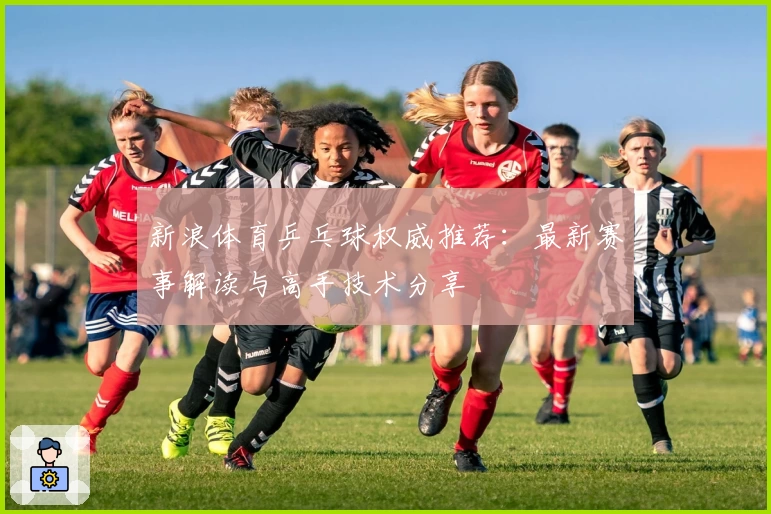 新浪体育乒乓球权威推荐：最新赛事解读与高手技术分享