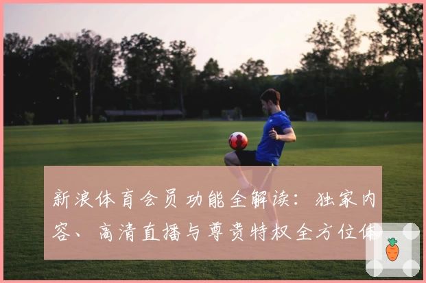新浪体育会员功能全解读：独家内容、高清直播与尊贵特权全方位体验