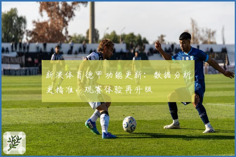 新浪体育德甲功能更新：数据分析更精准，观赛体验再升级