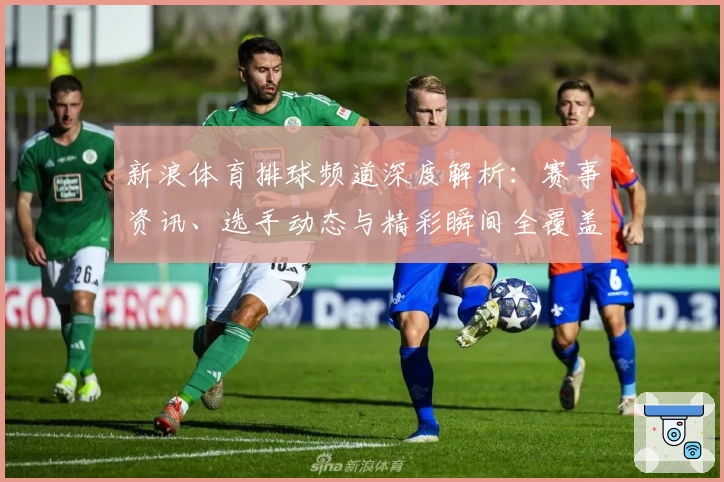 新浪体育排球频道深度解析：赛事资讯、选手动态与精彩瞬间全覆盖