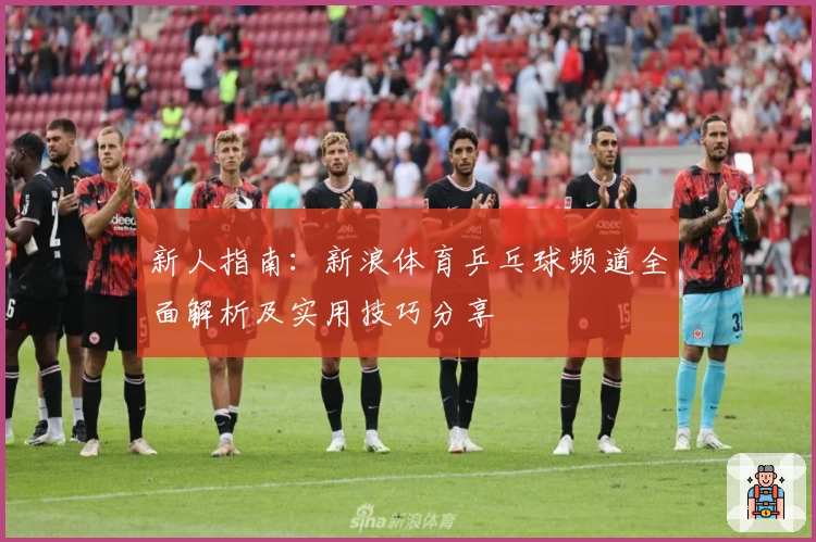 新人指南：新浪体育乒乓球频道全面解析及实用技巧分享