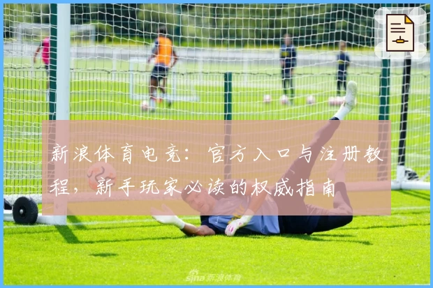 新浪体育电竞：官方入口与注册教程，新手玩家必读的权威指南