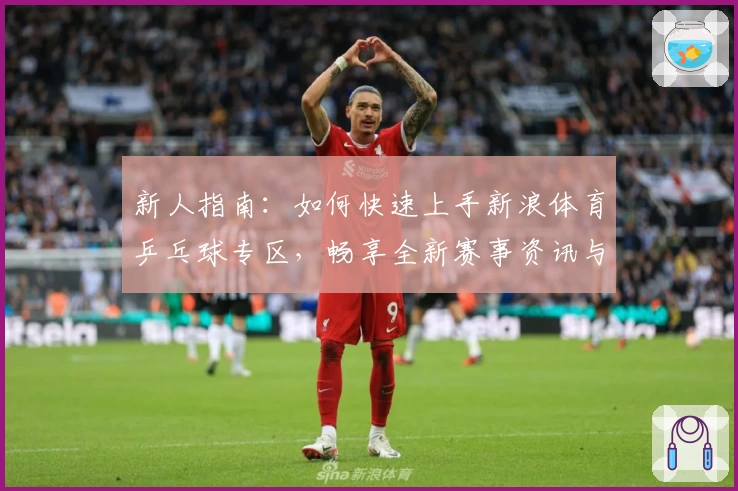 新人指南：如何快速上手新浪体育乒乓球专区，畅享全新赛事资讯与互动体验