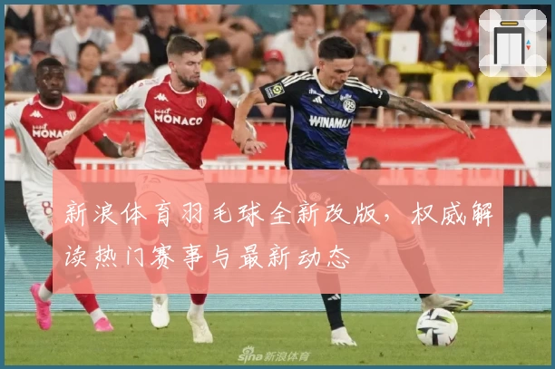 新浪体育羽毛球全新改版，权威解读热门赛事与最新动态