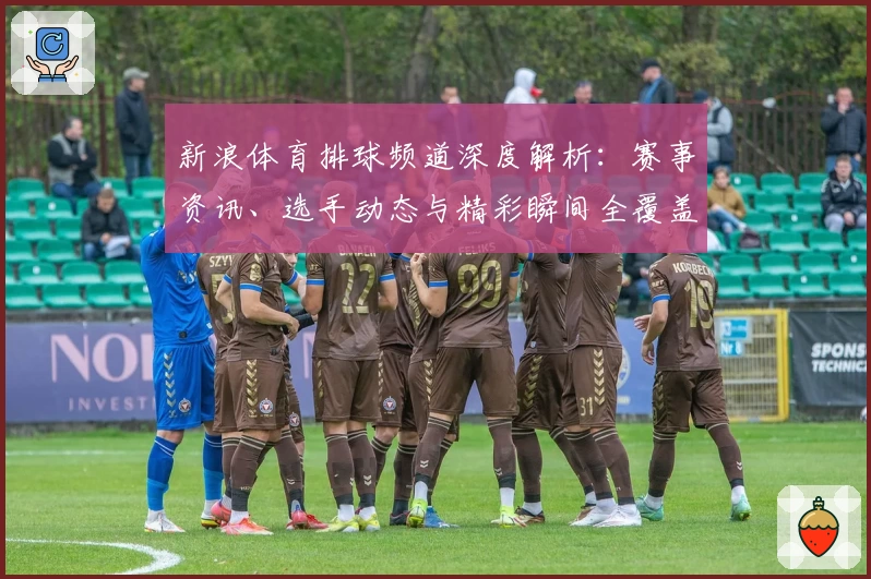 新浪体育排球频道深度解析：赛事资讯、选手动态与精彩瞬间全覆盖