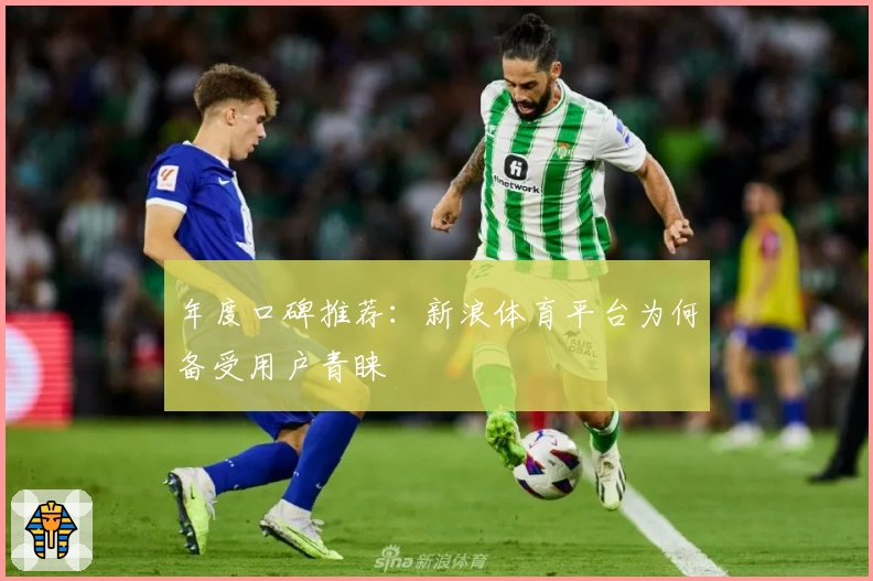 年度口碑推荐：新浪体育平台为何备受用户青睐