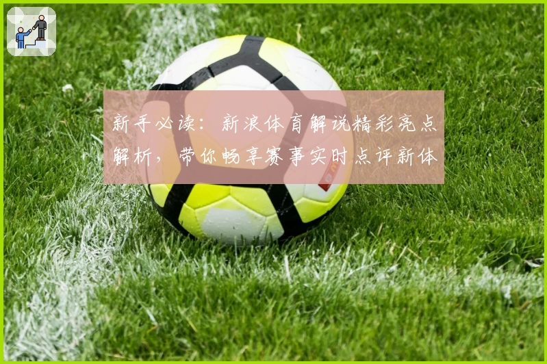 新手必读:新浪体育解说精彩亮点解析,带你畅享赛事实时点评新体验