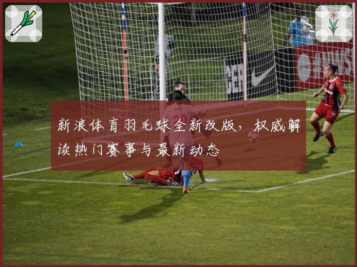新浪体育羽毛球全新改版，权威解读热门赛事与最新动态