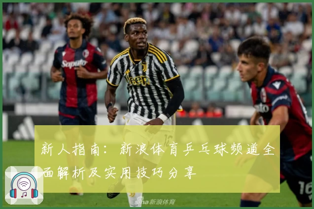 新人指南：新浪体育乒乓球频道全面解析及实用技巧分享