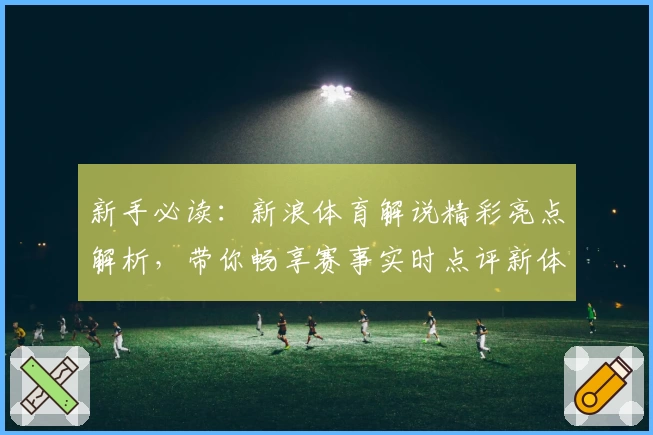 新手必读：新浪体育解说精彩亮点解析，带你畅享赛事实时点评新体验