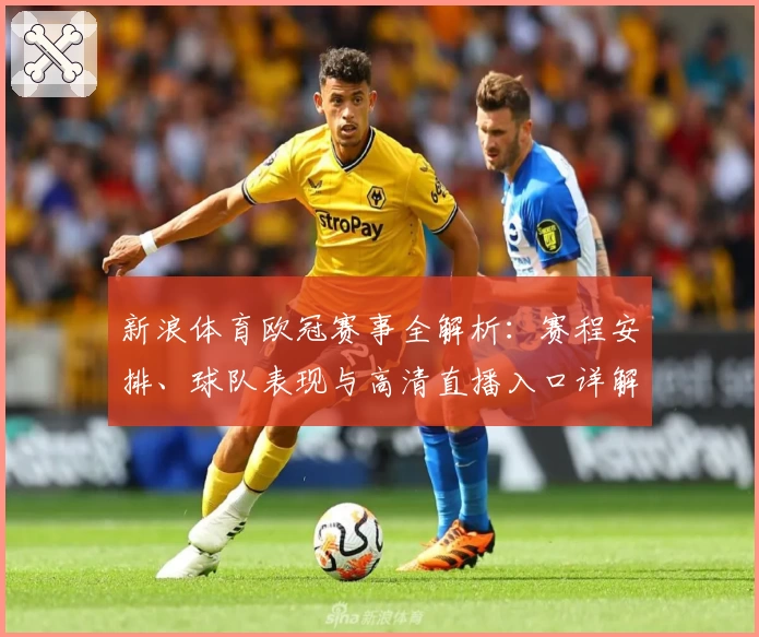 新浪体育欧冠赛事全解析：赛程安排、球队表现与高清直播入口详解