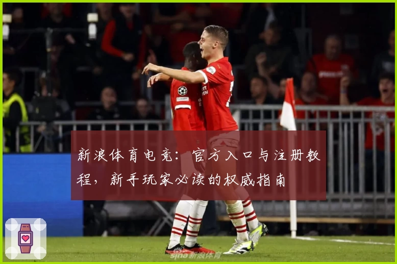 新浪体育电竞：官方入口与注册教程，新手玩家必读的权威指南