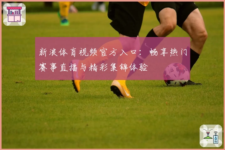 新浪体育视频官方入口：畅享热门赛事直播与精彩集锦体验