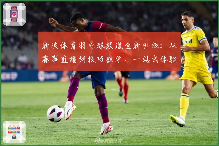 新浪体育羽毛球频道全新升级：从赛事直播到技巧教学，一站式体验指南